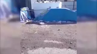 Сельский житель переполошил Казнет из-за казахстанского флага в Атырауской области