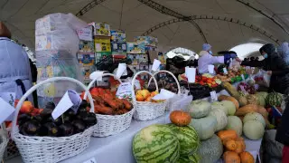 600 тонн продукции реализуют на ярмарке в Нур-Султане