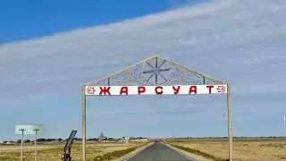 Жители села Жарсуат ищут заблудший скот по WhatsApp