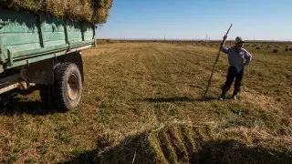 Зарплаты госслужащих и фермеров сравнили в Казахстане