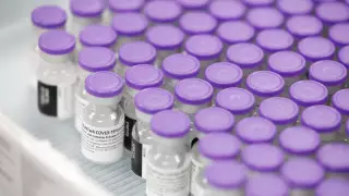 Цой о поставке вакцины Pfizer: Подписан финальный контракт