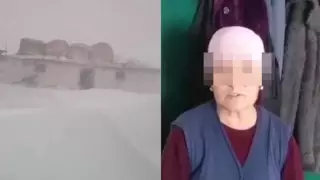 Аким записал извинения женщины за видео о снеге в Павлодарской области