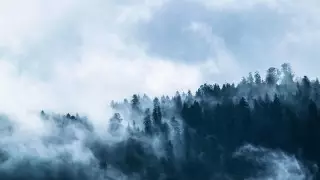 Туман и сильный ветер. Какой будет погода 9 октября в Казахстане