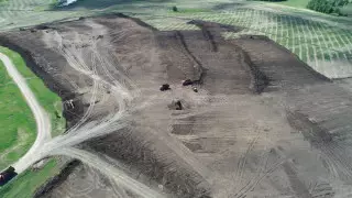 На севере Казахстана вырубят 48 гектаров леса ради крупнейшего месторождения олова