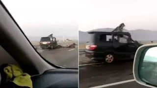 Минивэн столкнулся с лошадьми на трассе в Туркестанской области