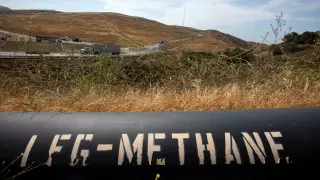 Более 20 стран присоединились к глобальному пакту о метане