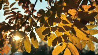 Без осадков и тепло: погода в Казахстане на 3 дня