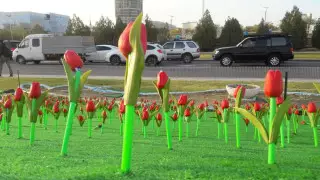 Пластиковые цветы на 15 миллионов тенге "посадили" в Актау