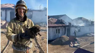 Щенка спасли из огня в Актобе