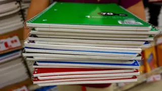 Тетради по 95 тысяч тенге хотели закупить в Акмолинской области