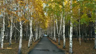 В четырех областях Казахстана объявлено штормовое предупреждение