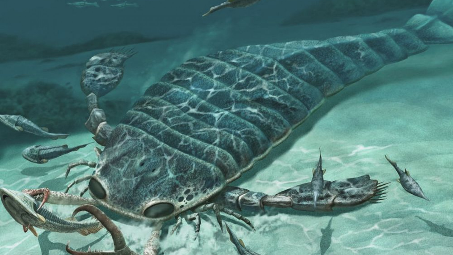 Древний океан 5 букв. Ракоскорпион Палеозойская Эра. Ракоскорпион силурийского периода. Ракоскорпион Ордовик. Кембрийский ордовикский силурийский.