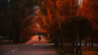 Менее полутора тысяч случаев заболевания коронавирусом зарегистрировано за сутки в Казахстане