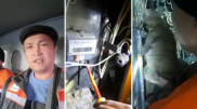 Забравшуюся в электрощиток беременную кошку спасли в Аксу