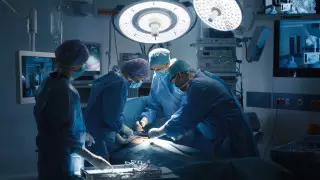 Хирурги впервые успешно пересадили почку свиньи человеку