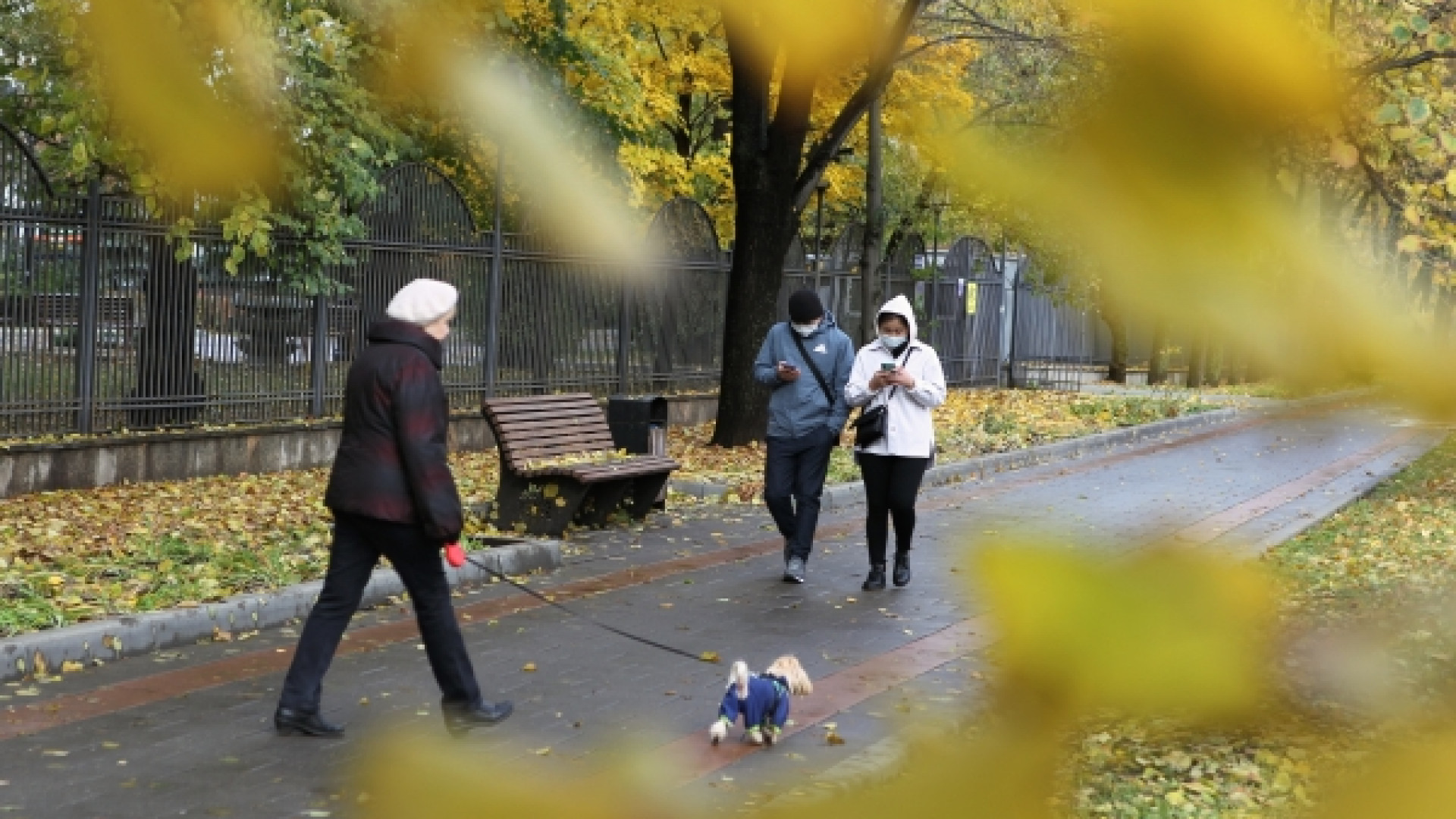 30 ноября октября. Татьяна Позднякова метеоролог. Ноябрь осень продолжается. Дождливая Москва ноябрь. Сейчас осень унылый день.