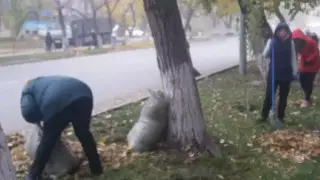 "Заставили учителей подметать улицы": чиновников наказали в Семее