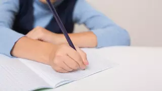 Вопиющий случай - министр об учительнице, написавшей на лбах учеников "тетрадь"