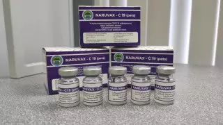 Вакцину против COVID-19 для кошек презентовали в Нур-Султане