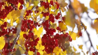 Переменчивая погода ожидается в выходные в Казахстане