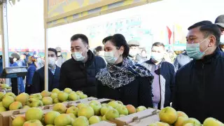 Гульшара Абдыкаликова побывала на ярмарке в Кызылорде