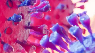 Опубликованы фото дельта-штамма коронавируса