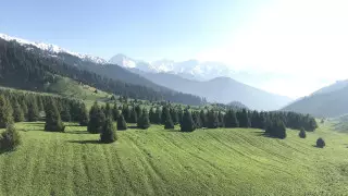 Когда Кок-Жайлау вернут в состав Иле-Алатауского нацпарка