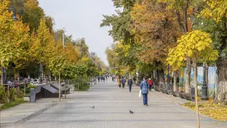 Эпидахуал бойынша алдағы үш айға болжам жаңарды