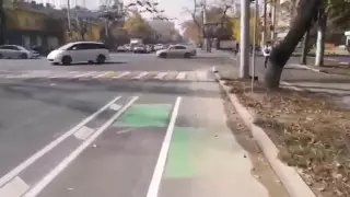 Автолюбители возмутились новой велодорожкой в центре Алматы
