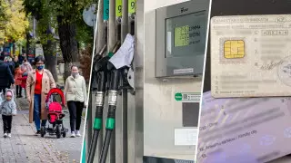 Цены на бензин, амнистия и покупка прав. Главное за неделю