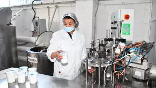 Как осуществляется поддержка бизнеса в Акмолинской области