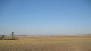 Найдено тело пропавшего летом 37-летнего жителя Темиртау