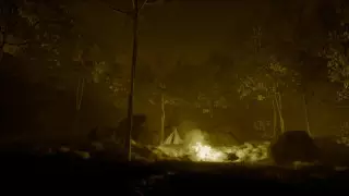 "Государственная граница". Как пограничники ловили "рогоносцев"