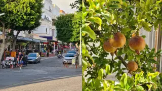 Переехавшие из-за плохой экологии казахстанцы рассказали о жизни за рубежом