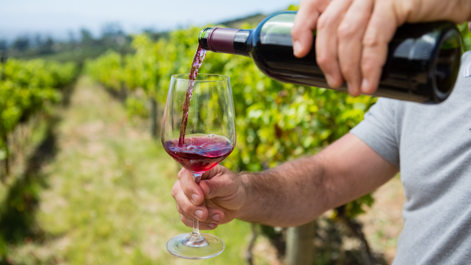 Вино помогает слушать. Бокал вина на природе. Винная основа.