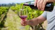 Мировое производство вина упало до исторического минимума