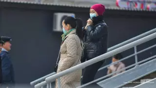 Опубликованы показатели заболеваемости коронавирусом за сутки