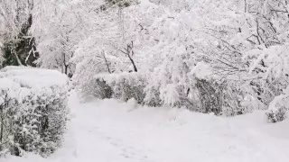 Сильные осадки и ветер: погода на 3 дня в Казахстане