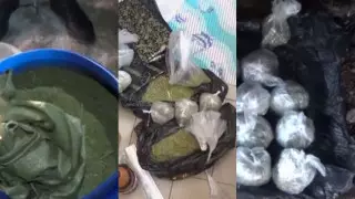 У нас нет наркобаронов, все ушло в Telegram - Тургумбаев