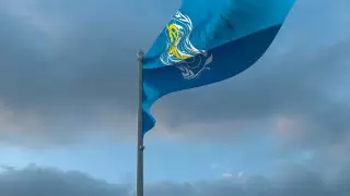 "Глобальный провал": эксперты раскритиковали ВОЗ