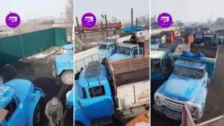 "Битва за уголь": в акимате Алматинской области ответили на видео из Шамалгана