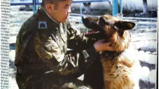 Сходили в Китай, чтобы поймать нарушителя. История пограничника Токанова и его собаки