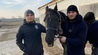 Брат Хабиба Нурмагомедова задержан из-за наезда на полицейского - СМИ