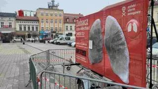 Активисты наглядно показали негативное влияние грязного воздуха на легкие