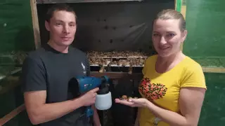 Семейная пара из Костаная открыла ферму по выращиванию улиток