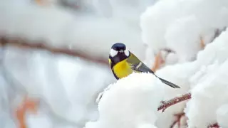 Какой будет погода в Казахстане в выходные дни