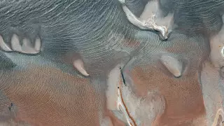 Блогер из Актау показал мелеющий Каспий