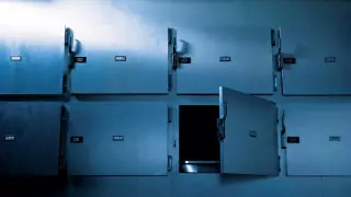 Сбитый на дороге житель Индии выжил, проведя 7 часов в морозильной камере морга