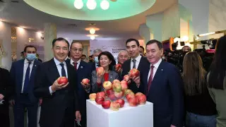 Сагинтаев открыл выставку "Алматы - золотая колыбель Независимости"