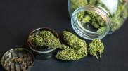 Новое правительство Германии разрешило продажу каннабиса